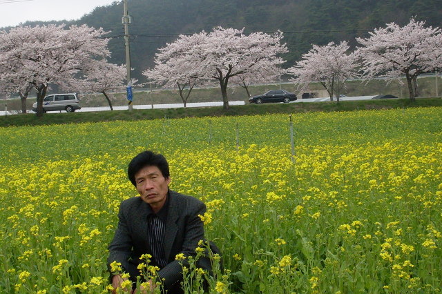 규성 이미지
