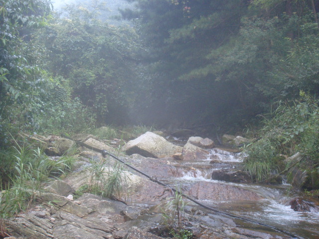 청산농원 이미지