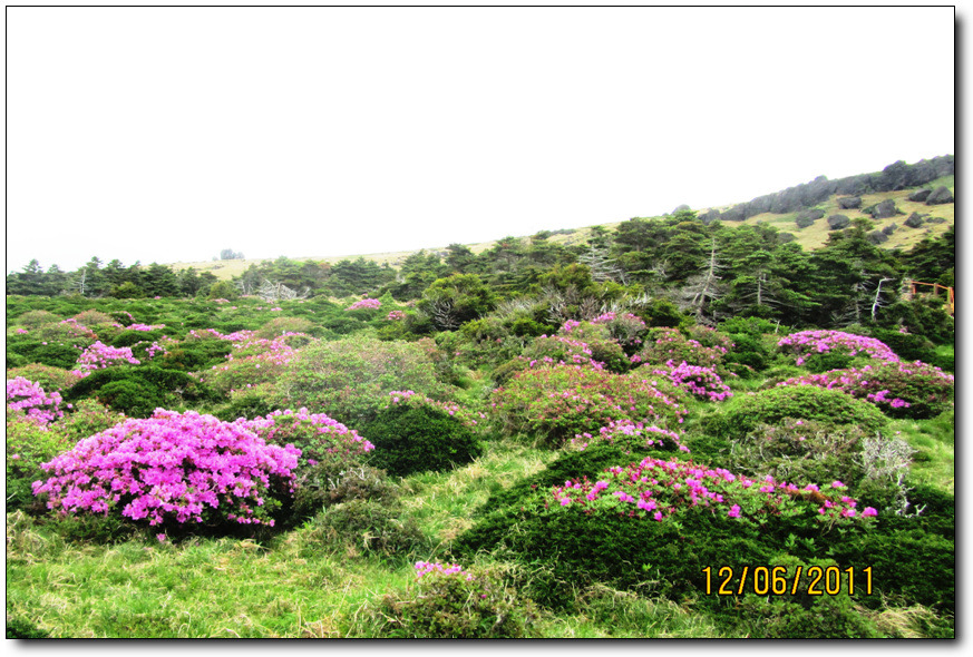 삼다도 이미지