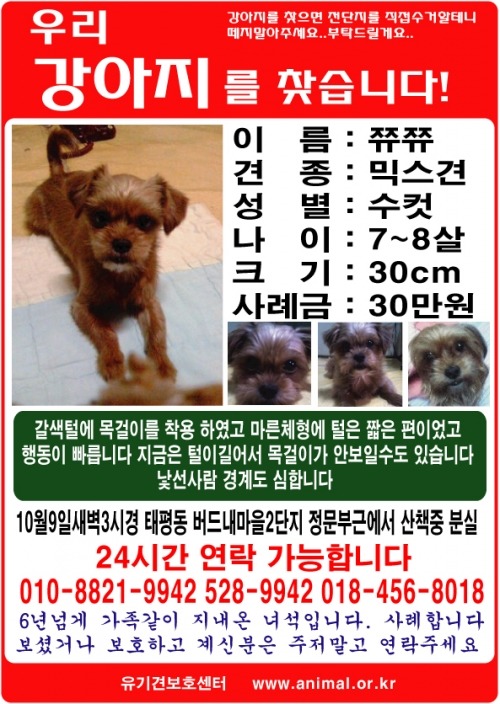 쮸쮸 이미지