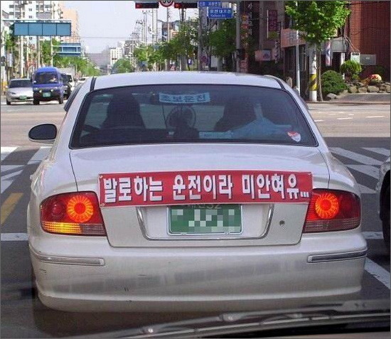다그려 이미지
