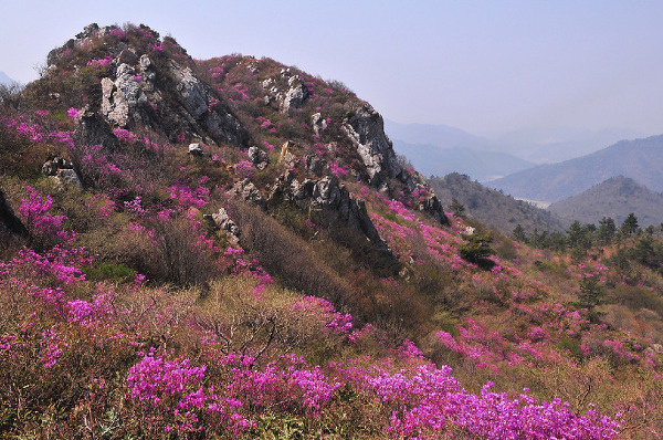 참조은(주) 이미지