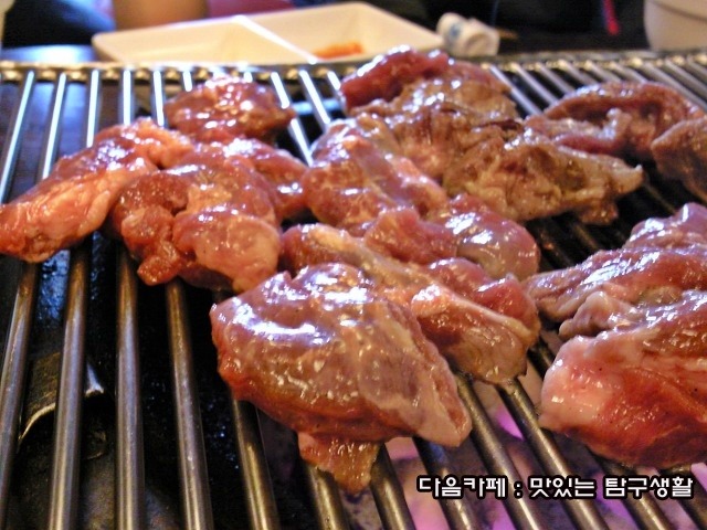 서래갈매기 이미지