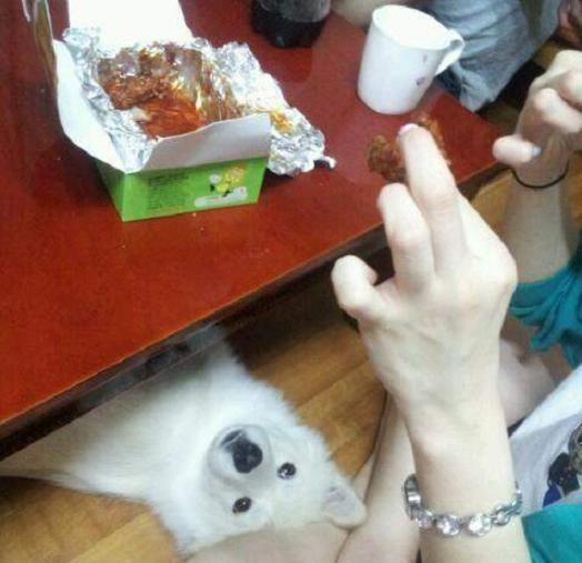 율하주유소 이미지
