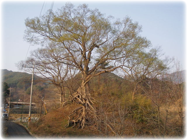 지리산숲길 이미지