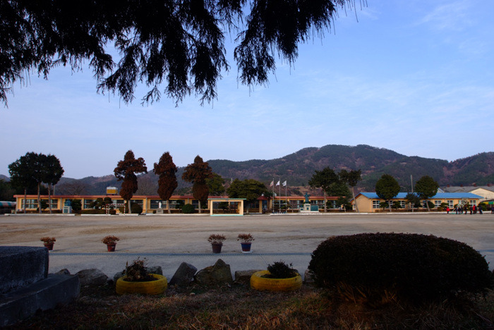 광석초등학교 이미지