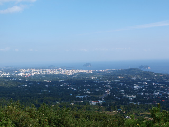 새섬다리 이미지