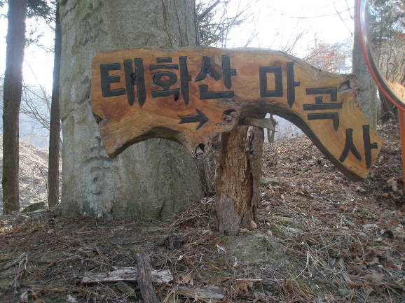 태화산 전경 이미지