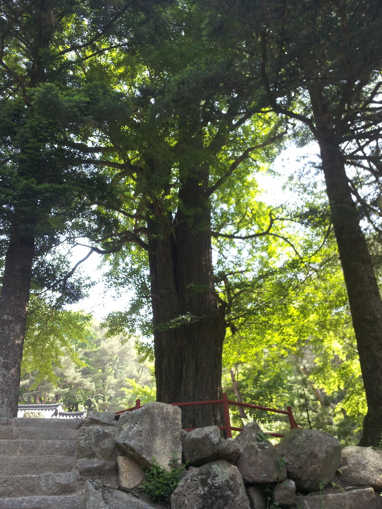 오남초등학교 이미지