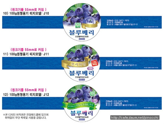 블루베리디자인 이미지