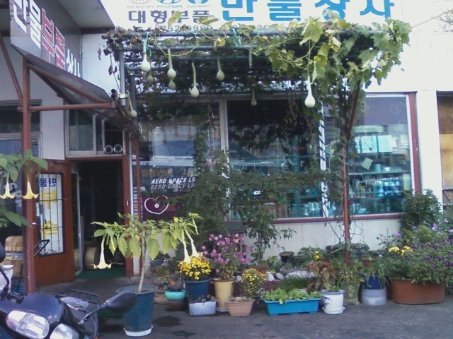 (주)씨앗 이미지