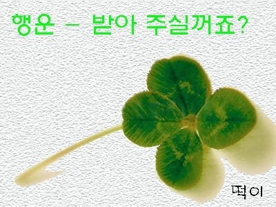 영서네 이미지