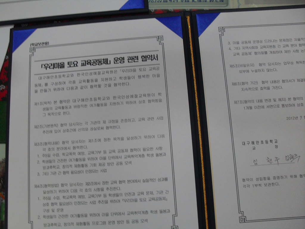 해안초 이미지