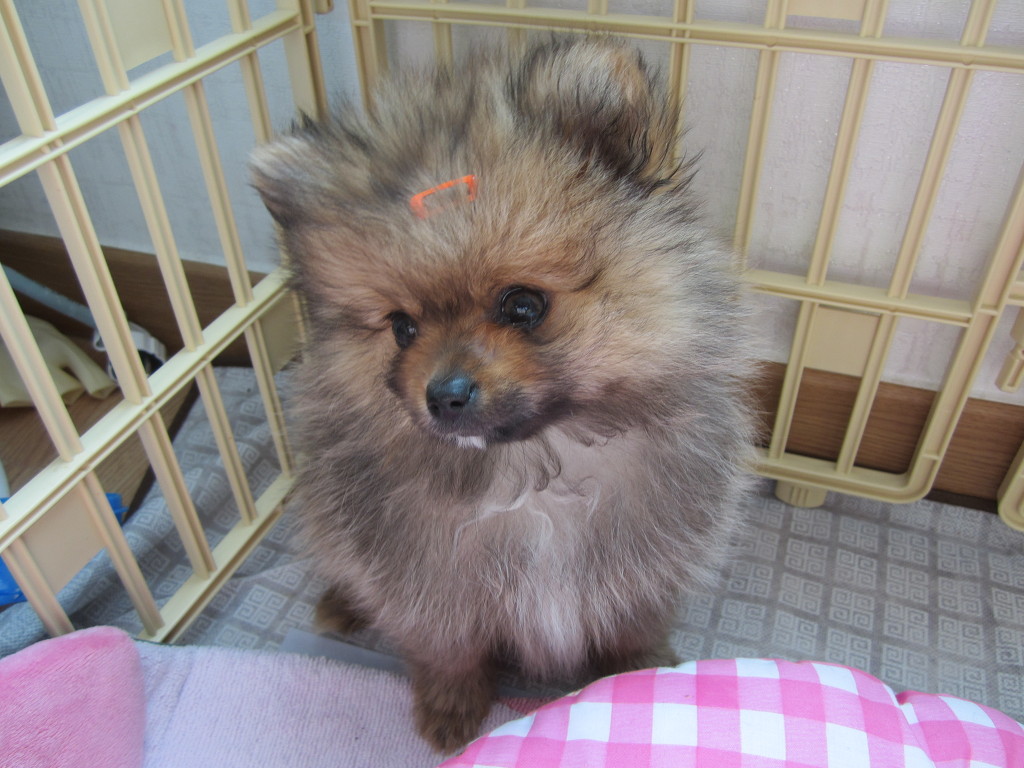 뭉치 이미지
