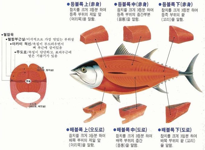 참치아울렛 이미지