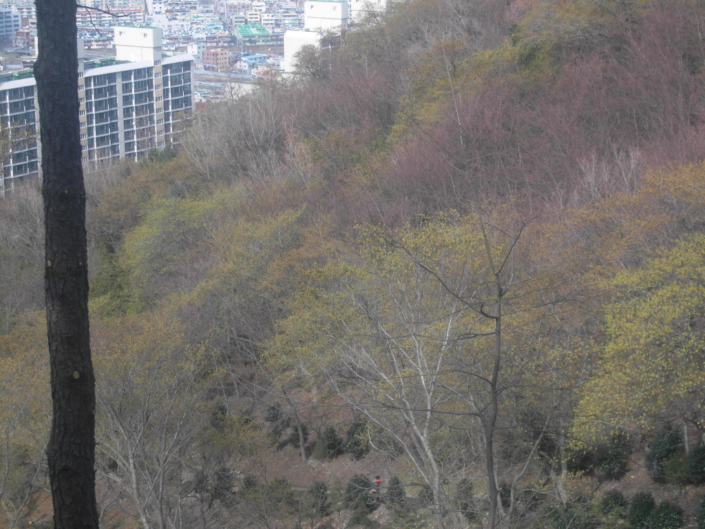 부산배화학교 이미지