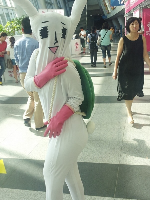 강남토끼 이미지