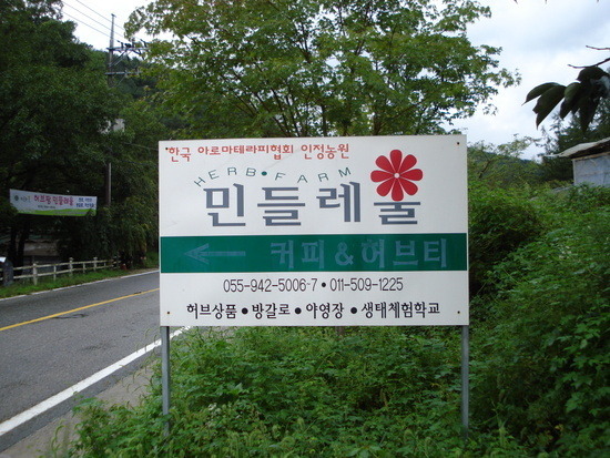 민들레쌈밥 이미지