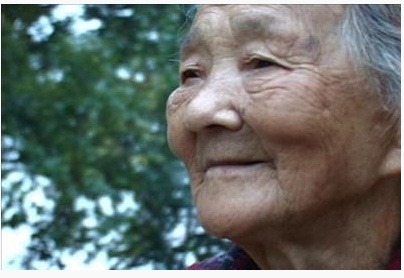 행복한느림보 이미지