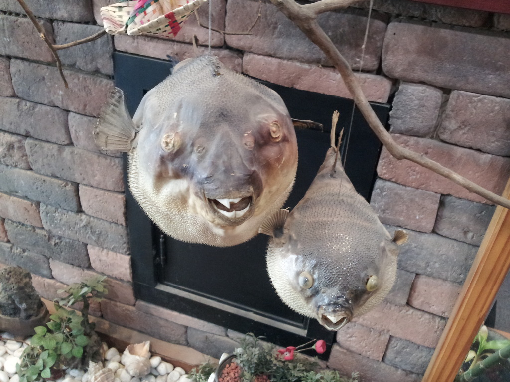 부산복집 이미지