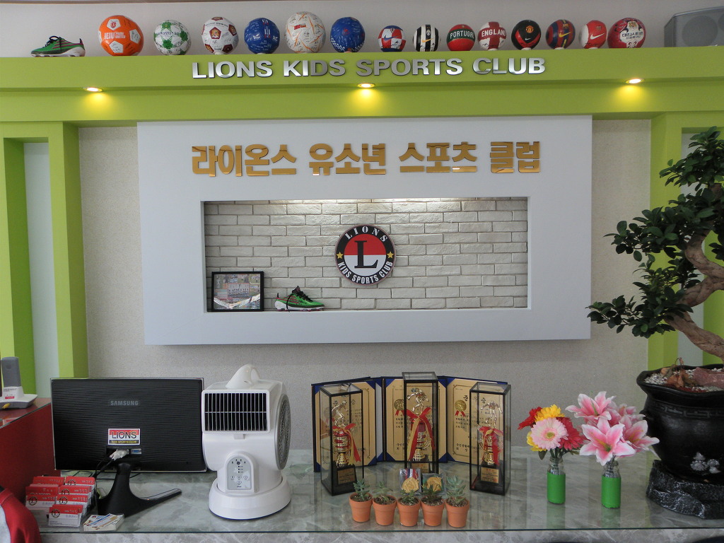 라이온스유소년스포츠클럽 이미지