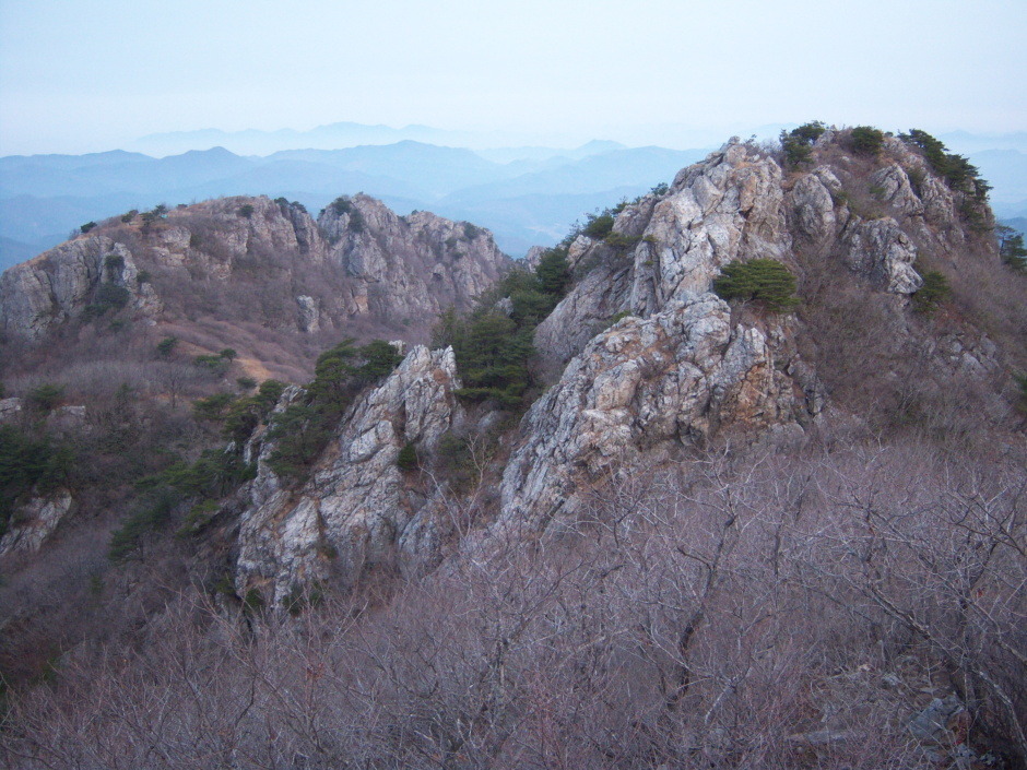 화순라이프 이미지