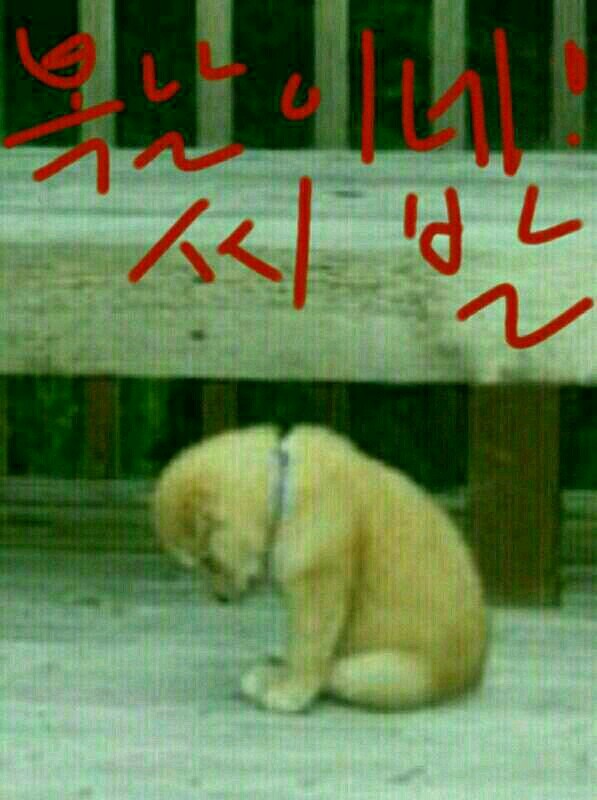 복 이미지