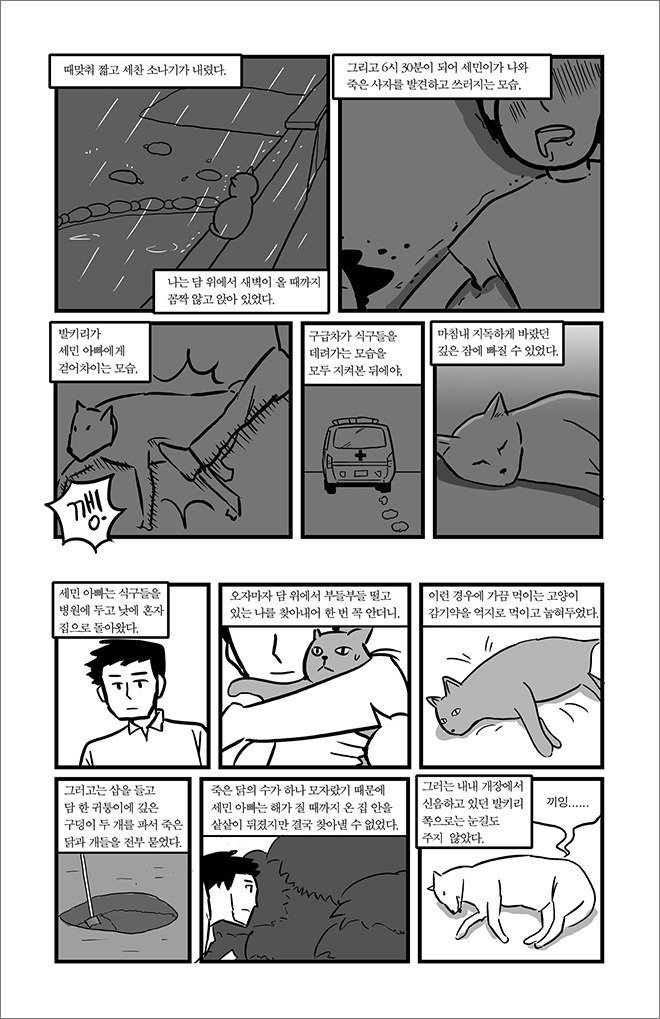 묘생만경 | 인스티즈