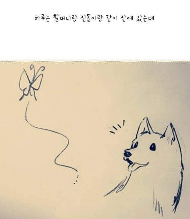실화라서 더 슬프다.. | 인스티즈