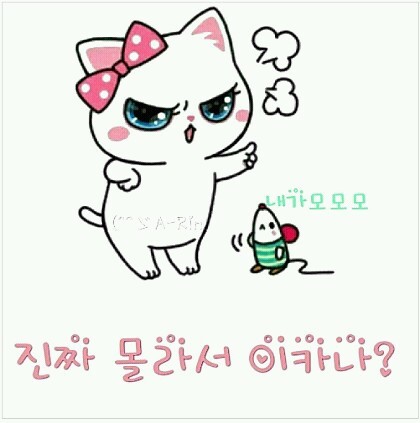 한국인의 노쇼....... | 인스티즈