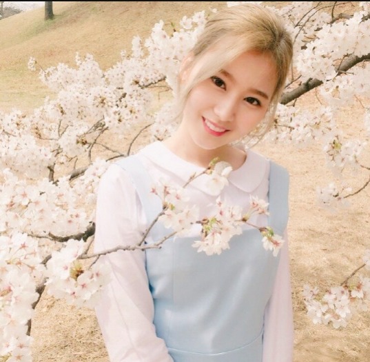 트와이스 미녀삼총사 | 인스티즈