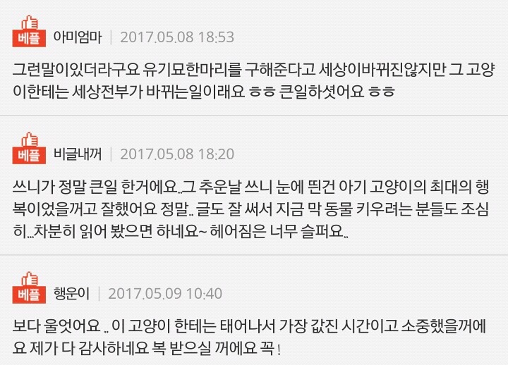 돈이 없으면 동물을 키우면 안된다는 걸 알았음 | 인스티즈