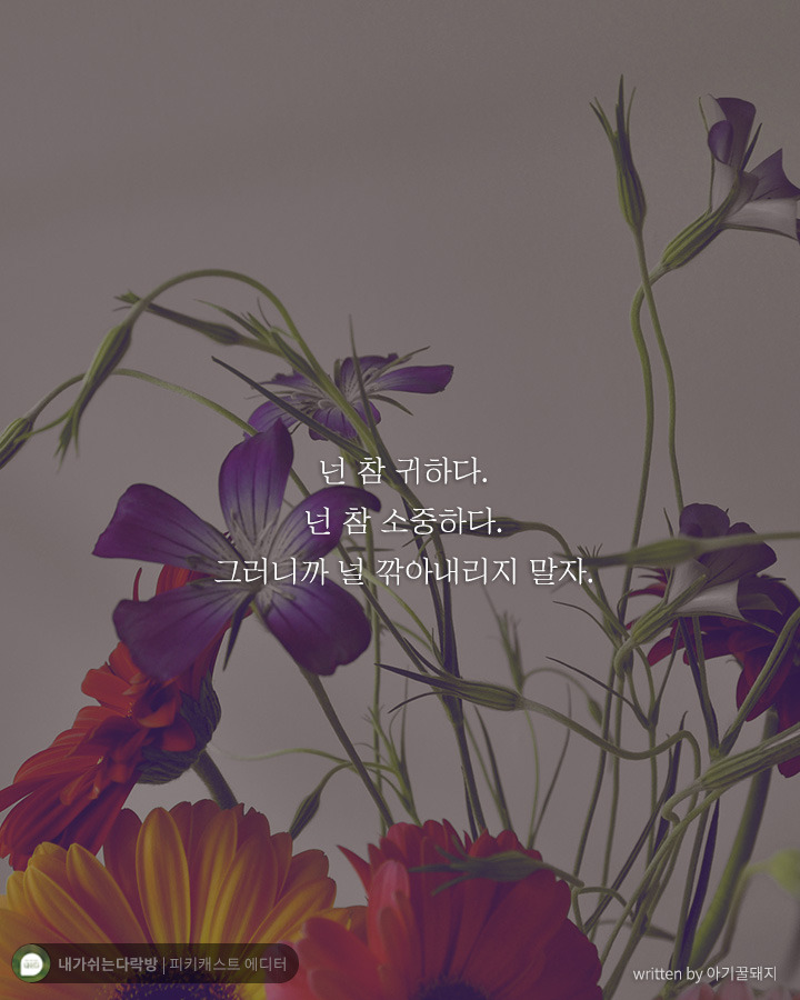 둥이 이미지