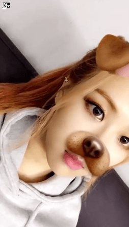 블랙핑크 인스타그램 업뎃.gif | 인스티즈