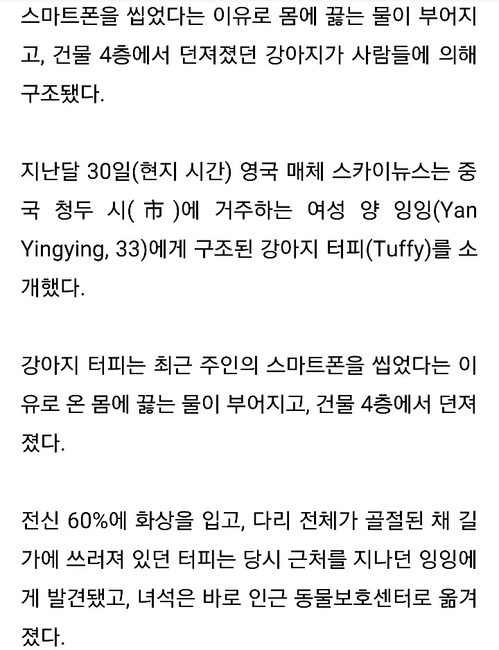 스마트폰 씹었다고 반려견에 끓는 물 부은 주인 | 인스티즈