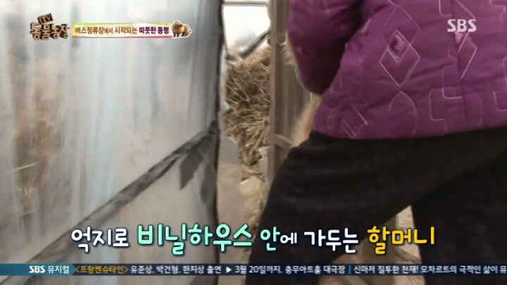 [동물농장] 할머니와 발바리의 따뜻한 우정 | 인스티즈