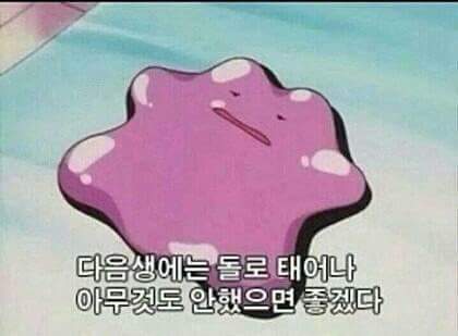 인생이 짜증날 때 보면 좋은 짤들.jpg | 인스티즈