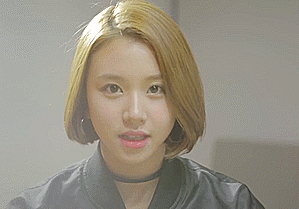 [트와이스] 아기맹수 채영 | 인스티즈
