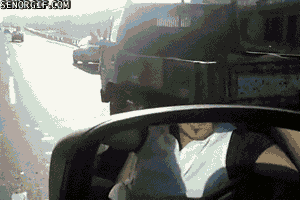 타조 스피드.gif | 인스티즈