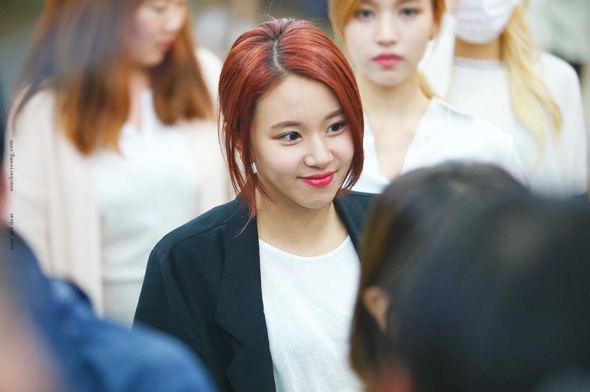 [트와이스] 아기맹수 채영이 짤 모음.gif | 인스티즈