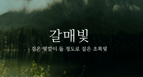 아름다운 우리말들 | 인스티즈