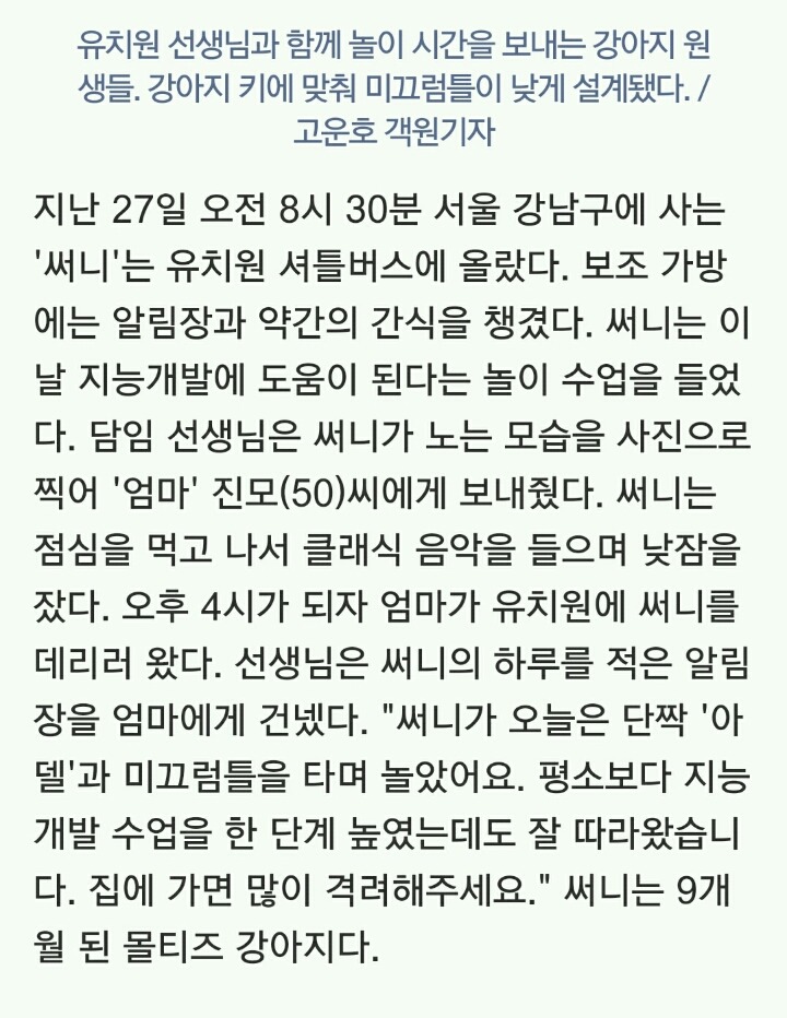 유치원 다니는 강아지들 셔틀버스는 기본 과목별 시간표도 | 인스티즈