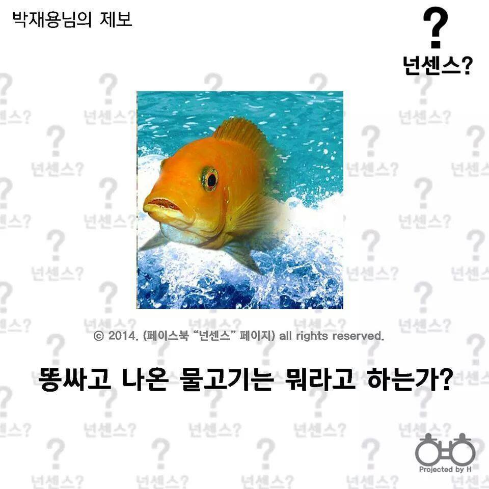 이중에 하나라도 안웃기면 한국 떠납니다 ㅋㅋㅋㅋㅋㅋㅋㅋㅋㅋㅋㅋㅋ | 인스티즈