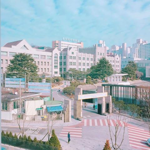여대 모음집.jpg | 인스티즈