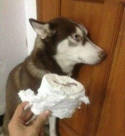 음 이미지