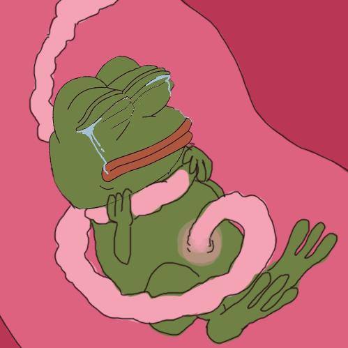 베스트버스 이미지