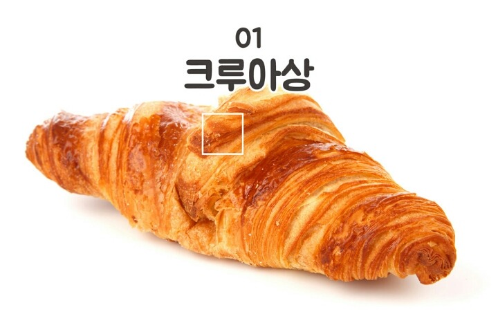 돼지보스 테스트 - 빵 편 | 인스티즈