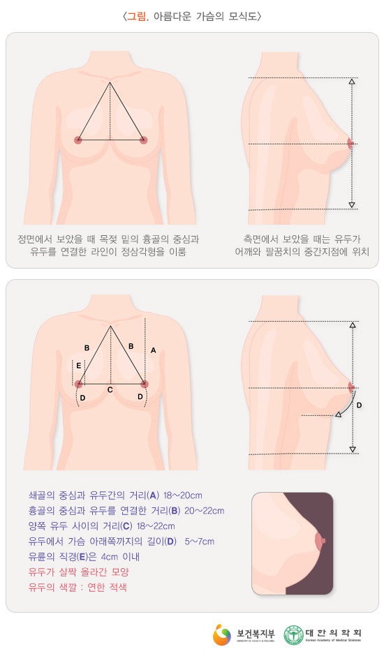 예쁜 가슴까지 정의내리는 보건복지부 | 인스티즈