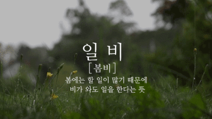 이쁜 우리말 비(雨) 이름 | 인스티즈