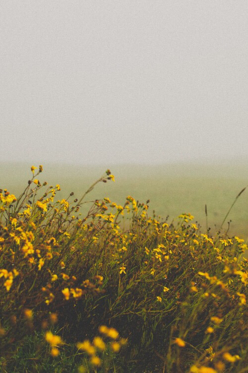 스마트폰 배경화면 | 인스티즈